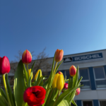 Frühling – endlich! ☀️